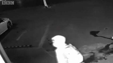 Sin duda, una pareja de ladrones nada hábiles.