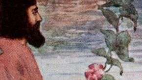 Existen numerosas ediciones del Rubaiyat. Pero la más espectacular de todas se hundió con el Titanic.
