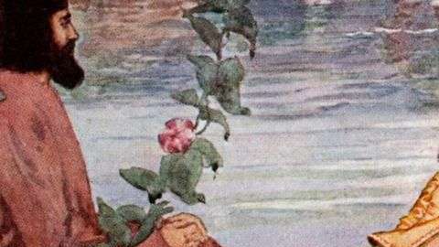 Existen numerosas ediciones del Rubaiyat. Pero la más espectacular de todas se hundió con el Titanic.