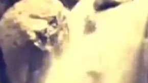 Lucía Méndez mantiene su rivalidad con Verónica Castro.