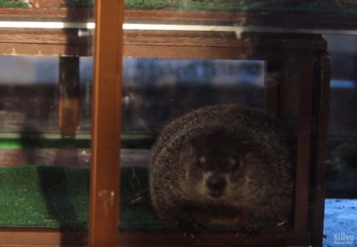 clima en staten island