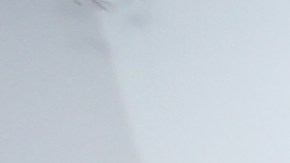 Peluquera Martha Castillo trabajando en el Salon Piscis en la Avenida Nagle en Manhattan.