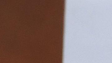 NYC responde así al movimiento de sobrevivientes de abuso sexual a nivel nacional.