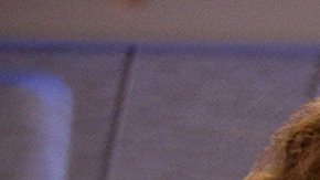 La batalla ha llegado a las redes sociales.