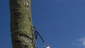 Niurka Marcos llegó a YouTube como "Mamá Niu".