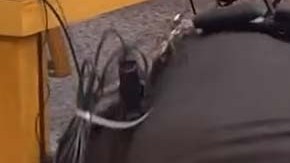 Los oficiales de seguridad en la corte sometieron a Margraves.