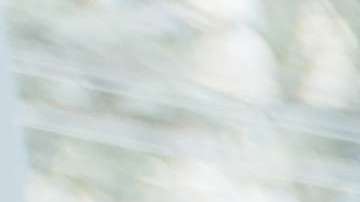 El estar al día con las pruebas de la citología (Papanicolaou) y del virus del papiloma humano (HPV) debe ser una prioridad en la lista de propósitos para el nuevo año de toda mujer.