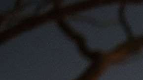 Dolientes reunidos en el servicio conmemorativo para las víctimas del tiroteo en Parkland