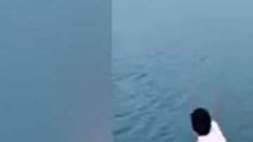 El sujeto avienta al cachorro al lago.