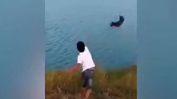 El sujeto avienta al cachorro al lago.