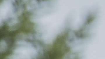 La parte positiva del conflicto es poder madurar y aprender de él.