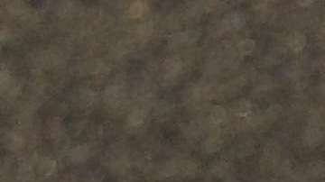 Los patrones de las venas pueden identificar la mano de un sospechoso.