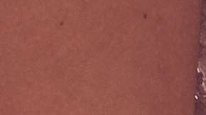 Hay sitios en EEUU donde una boda es menos costosa y más fácil de organizar.