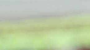 Comer vegetales de hojas verdes mejorar la memoria.