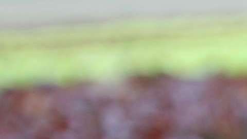 Comer vegetales de hojas verdes mejorar la memoria.