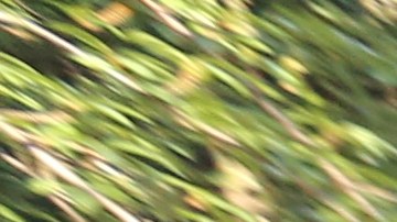 Jefe de NYP Dermot Shea, jefe de control de strategias de crime testifico ante el concejo liderado por el Concejal Donovan Richards sobre los arrestos por marihuana.