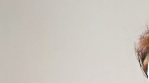 Su amistad con el neonazi Andrew Auernheimer le costó el empleo