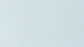 Concejales Yadanis Rodriguez y Jummane Wiliams declaran que Ravi Ragbir se debe quedar en NYC.