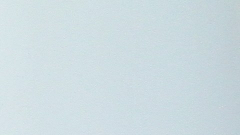 Concejales Yadanis Rodriguez y Jummane Wiliams declaran que Ravi Ragbir se debe quedar en NYC.