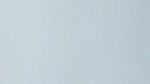 Ragbir recibió el apoyo de la colectividad