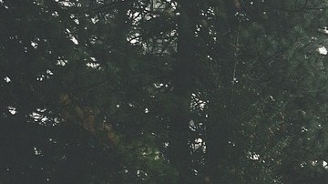 La propuesta mejoraría los caminos.