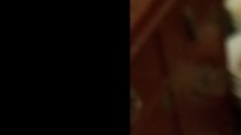 Anillo de compromiso que cayó por el inodoro.