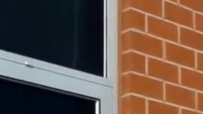 Esta niña quiere vender a su hermano a la tienda de mascotas.