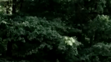 Boda de Kait Olidis, a la que su padre no pudo acudir porque falleció antes.