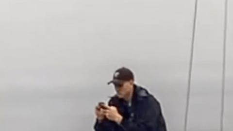 Un hombre está observando su teléfono con tanta atención que se pierde el espectáculo de ballenas alrededor del barco.