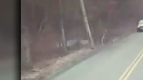 Una madre  y su hija casi son arrolladas por un conductor imprudente.