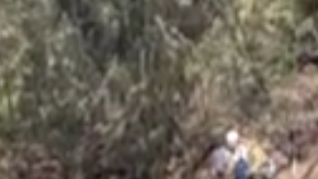 Mensaje de ayuda escrito por una pareja perdida en una isla.