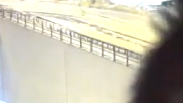 Un búho mira a cámara directamente, obstruyendo las grabaciones de la agencia de transportes de Finlandia.