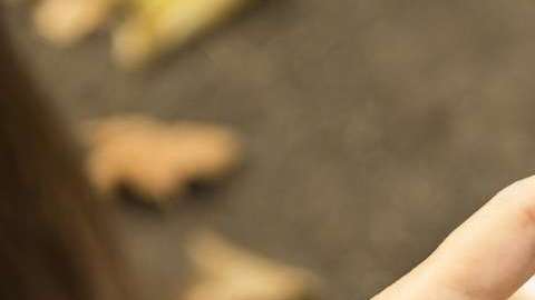 La mujer jamás se imaginó que le estaba haciendo mucho daño a su hija.