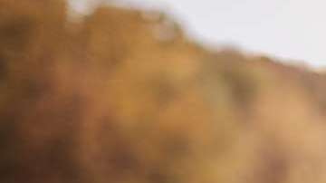 Contrario al catarro, la rinitis no da fiebre ni secreciones amarillas o verdes ni malestar general.