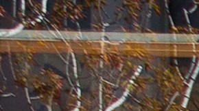 El 56% de los adultos latinos reportó estar expuestos al humo que provenía desde afuera de sus viviendas.