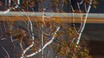 El 56% de los adultos latinos reportó estar expuestos al humo que provenía desde afuera de sus viviendas.