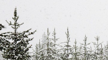 Conducir en la nieve ya es de por sí complicado.