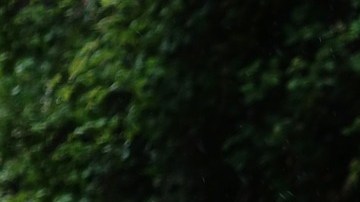 Hay despedidas muy poco amables y ésta.