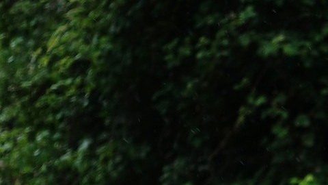 Hay despedidas muy poco amables y ésta.