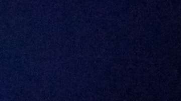 El sushi es uno de los platillos más populares del mundo.