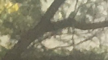 El taxista José Taveras  -de camisa blanca- agredido por una pareja de adolescentes.