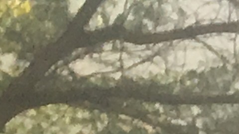 El taxista José Taveras  -de camisa blanca- agredido por una pareja de adolescentes.