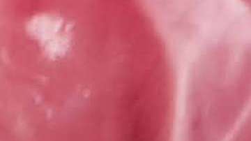 Emily ha creado tendencia con su sensualidad y un provocativo estilo.