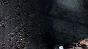 Alguien decidió dejar en la calle al tigre de peluche.