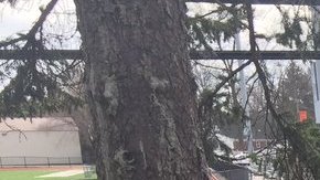 Muchas personas se congregaron afuera del liceo a la espera de noticias