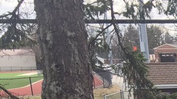 Muchas personas se congregaron afuera del liceo a la espera de noticias