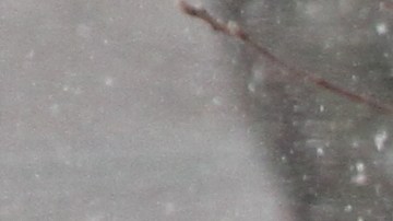 La nevada comenzará a las cinco de la tarde  del sábado