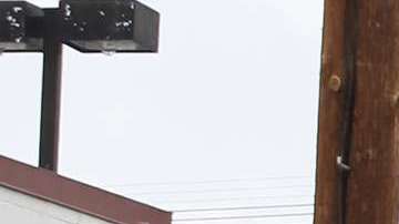 Greyhound finalmente reemplazó a la conductora somnolienta.