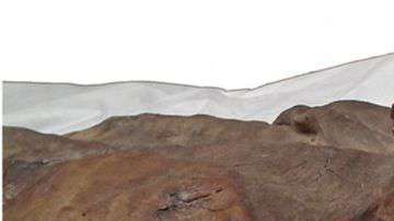 Se cree que la momia corresponde a un varón de entre 18 y 21 años. El tatuaje aparece como una mancha oscura en la parte superior de su brazo.