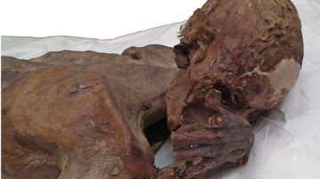 Se cree que la momia corresponde a un varón de entre 18 y 21 años. El tatuaje aparece como una mancha oscura en la parte superior de su brazo.